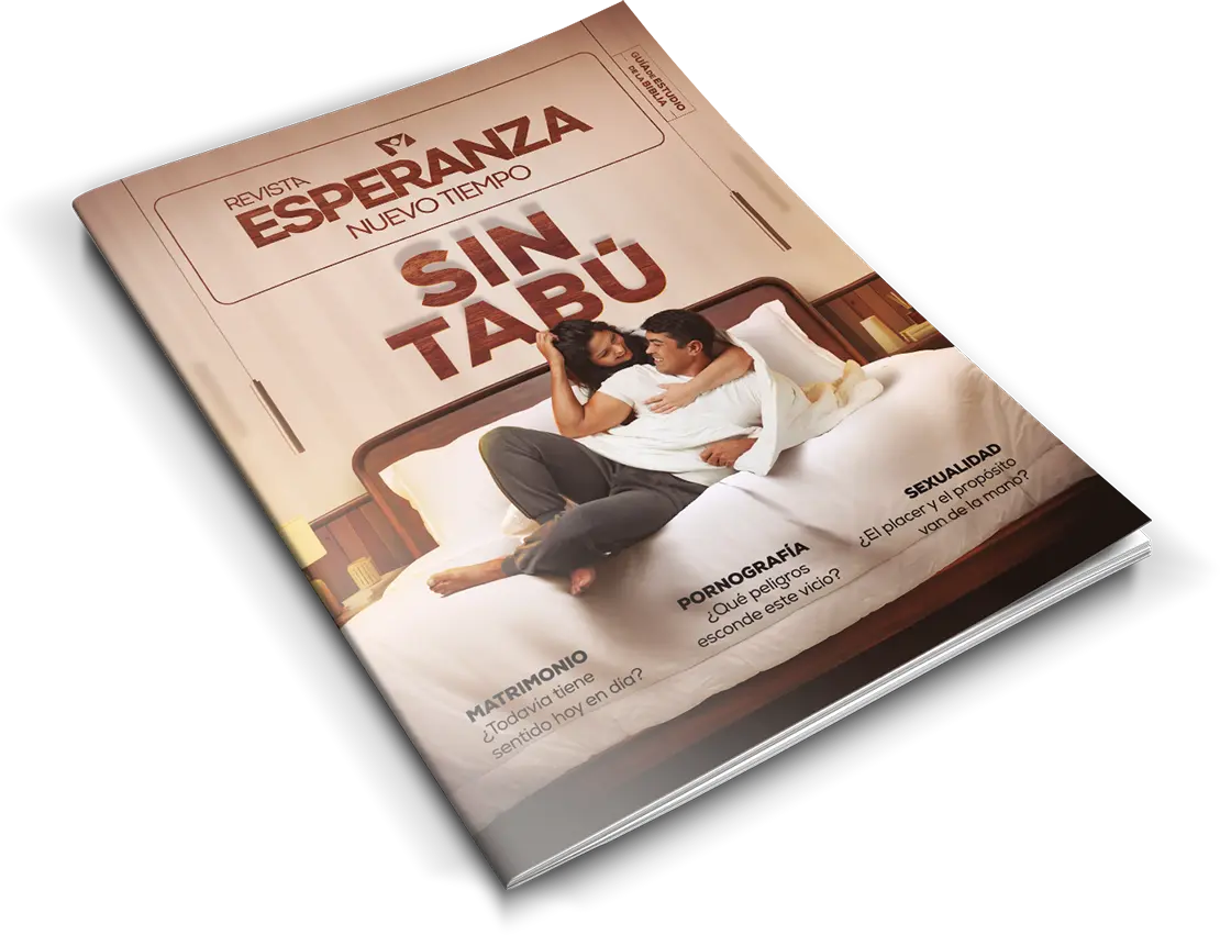 revista